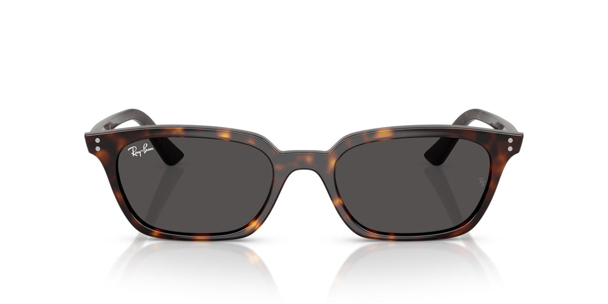 Ray-Ban Zaya RB4456