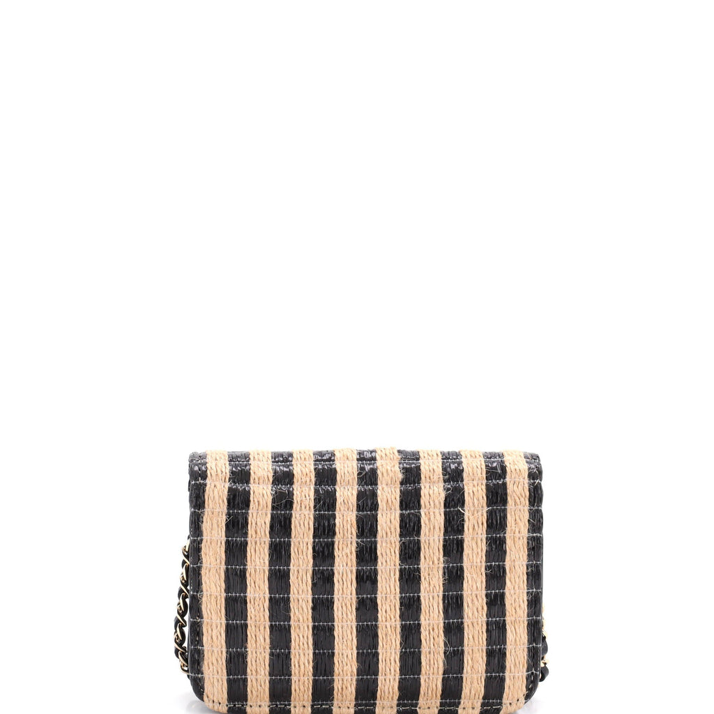 CC Flap Chain Belt Bag Striped Raffia and Jute