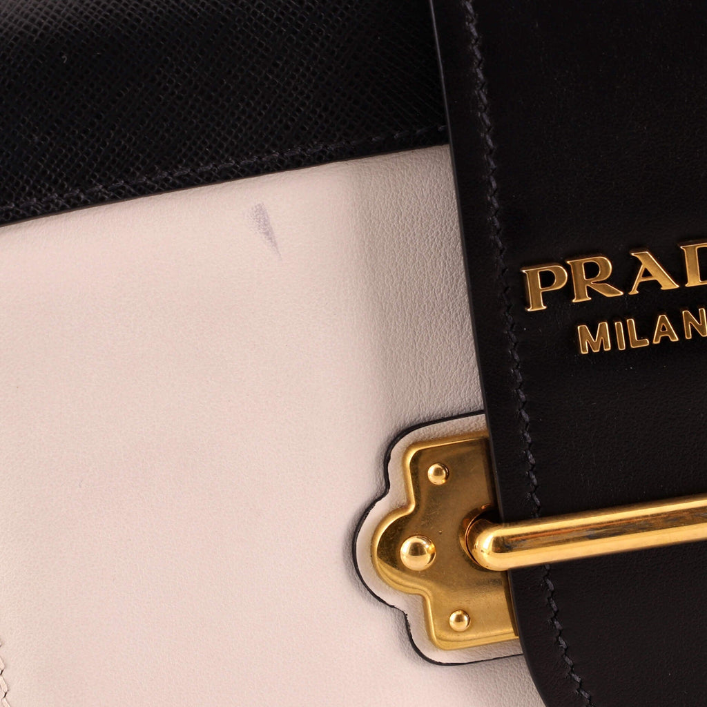 Cahier Crossbody Bag Leather and Saffiano Leather Small