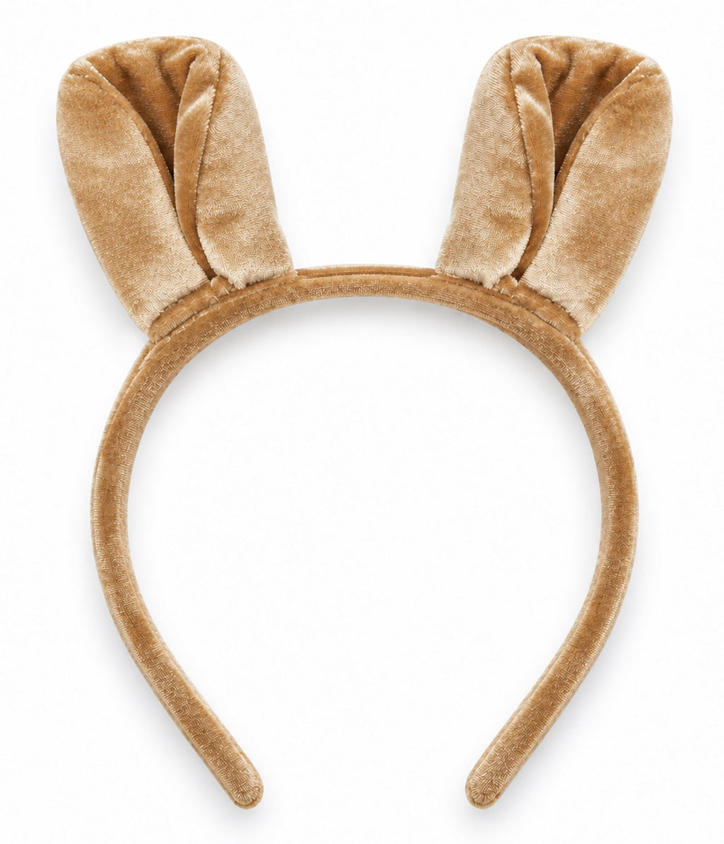 Lion Bodysuit Costume